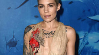 Skylar Grey Nipples in See Through Dress