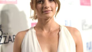 Graceful Beauty Stana Katic Showing Her Cleavage in a Nice-looking Dress
