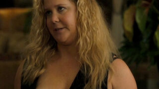 Amy Schumer Nude Scene In Snatched Movie