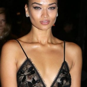 Shanina Shaik nipples in see thru