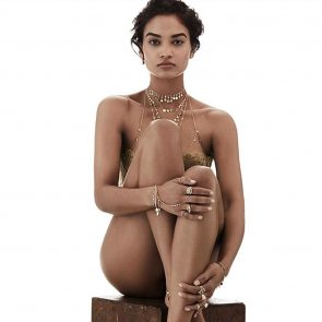 Shanina Shaik nude sitting