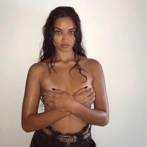 Shanina Shaik handbra