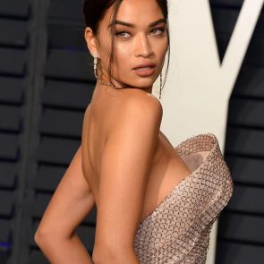 Shanina Shaik tits slip