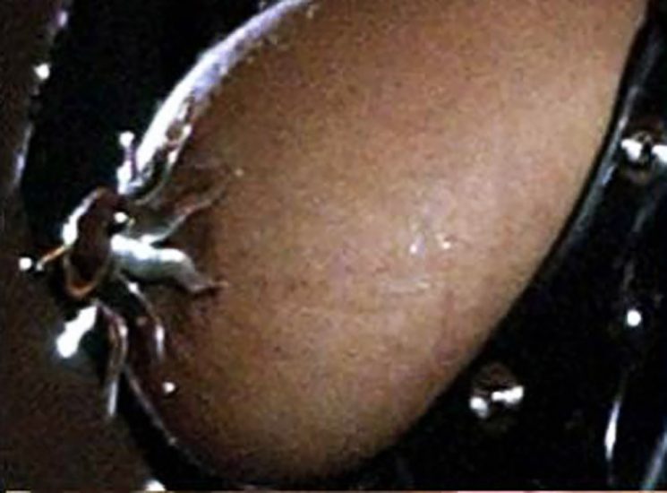 Janet Jackson naked nipple