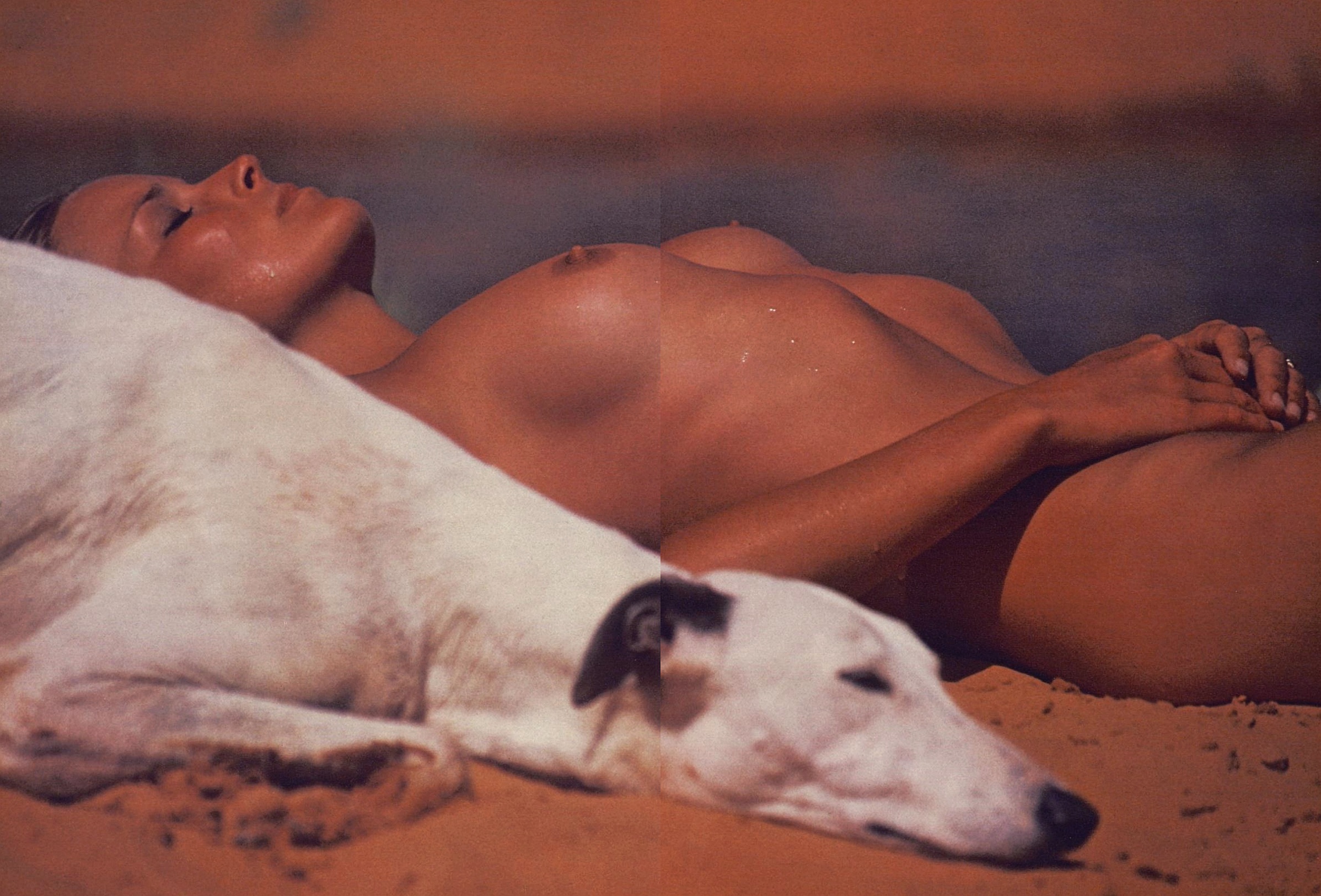 Tanned Stunner Bo Derek Displaying Her Amazing Nude Body for Playboy