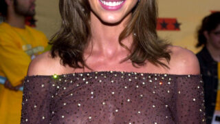 Shannon Elizabeth See-Through Pictures Focusing on Her Big Naturals