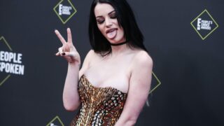 WWE Diva Paige Shows Her Ample Cleavage on a Red-Carpet Event