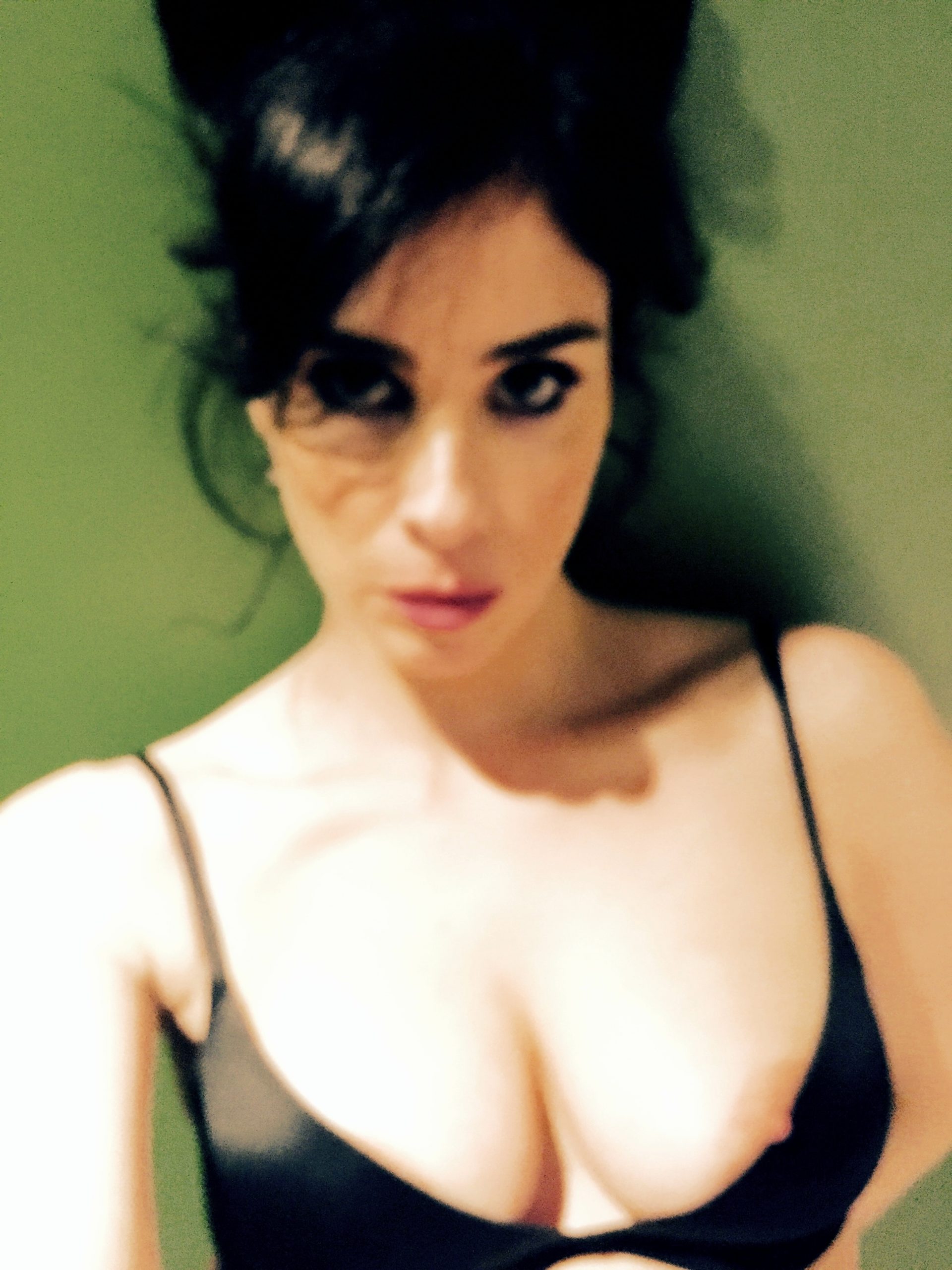 Funny Brunette Sarah Silverman Happily Exposing Her Big Boobs in a Sexy Gallery
