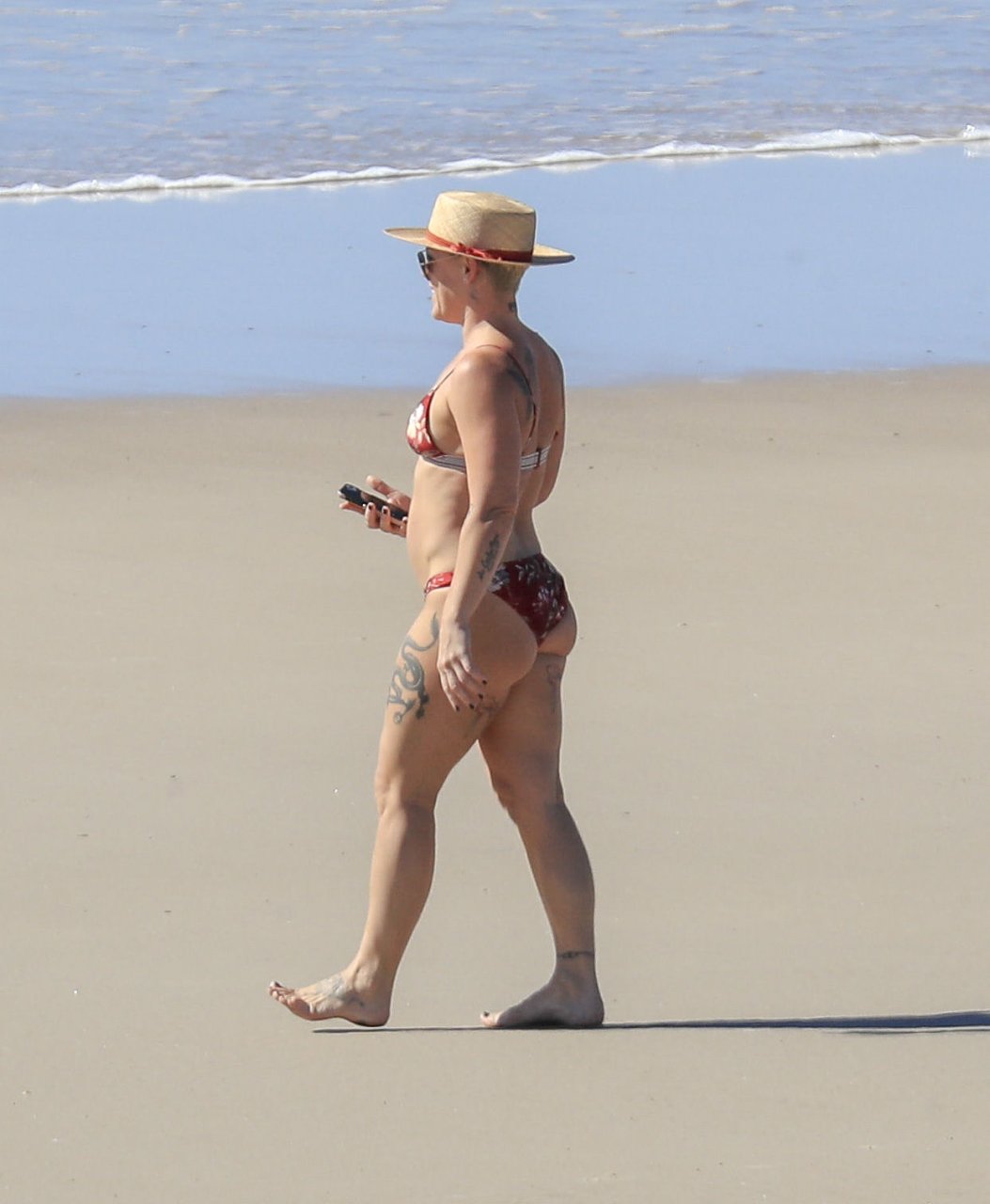 Pink Showing Her Jacked Body in a Revealing Bikini (17 Photos)