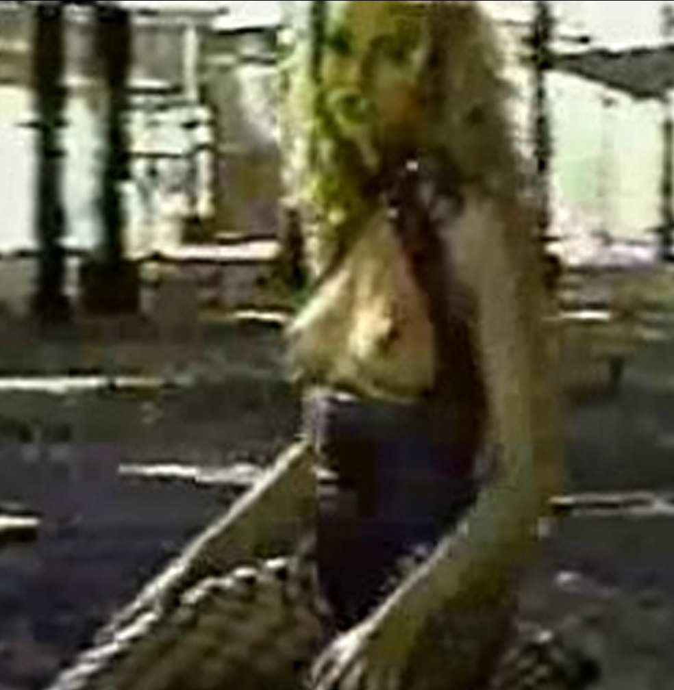 Cameron Diaz Nude Boobs In She is No Angel Video