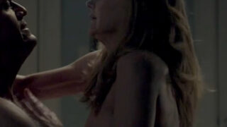 Patricia Clarkson Nude Sex Scene In Learning To Drive Movie