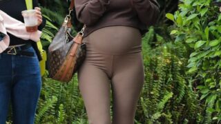Sophie Turner Pregnant