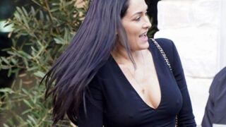 Nikki Bella Cleavage Was Seen Too Many Times